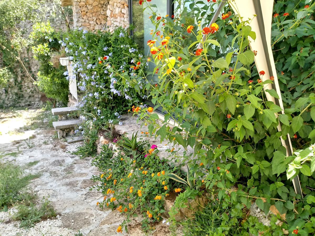 Villa Limonaia in Salento Marittima Esterno foto