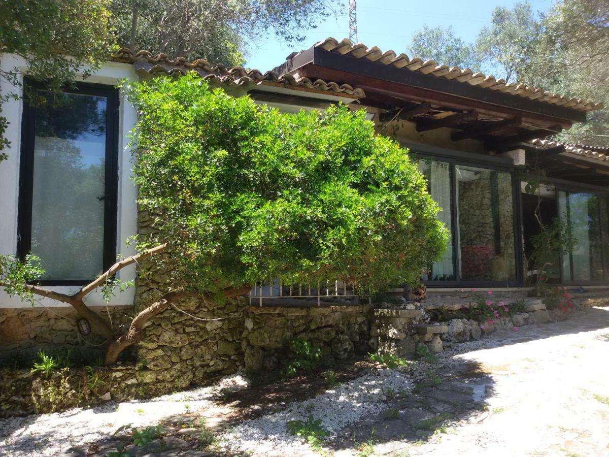 Villa Limonaia in Salento Marittima Esterno foto